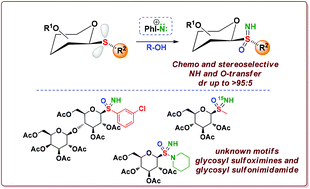 Graphical abstract: Synthesis of glycosyl sulfoximines by a highly chemo- and stereoselective NH- and O-transfer to thioglycosides