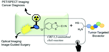 Graphical abstract: A novel clickable MSAP agent for dual fluorescence/nuclear labeling of biovectors