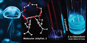 Graphical abstract: Functionalized fluorescent terephthalate monomers and their attempted polyester formation