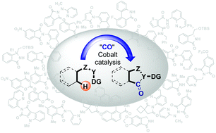 Graphical abstract: Cobalt-catalyzed carbonylation of the C–H bond