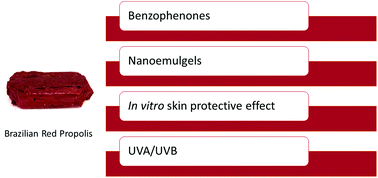 Graphical abstract: In vitro protective effect of topical nanoemulgels containing Brazilian red propolis benzophenones against UV-induced skin damage