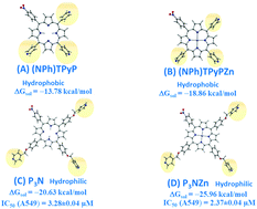 Graphical abstract: Photodynamic activity attained through the ruptured π-conjugation of pyridyl groups with a porphyrin macrocycle: synthesis and the photophysical and photobiological evaluation of 5-mono-(4-nitrophenyl)-10,15,20-tris-[4-(phenoxymethyl)pyridine]-porphyrin and its Zn(ii) complex