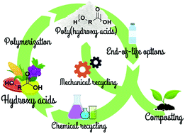 Graphical abstract: Poly(hydroxy acids) derived from the self-condensation of hydroxy acids: from polymerization to end-of-life options
