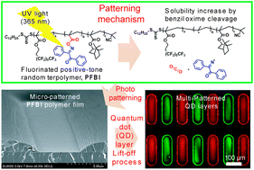 Graphical abstract: Photo-cleavable perfluoroalkylated copolymers for tailoring quantum dot thin films