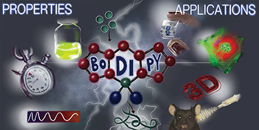 Graphical abstract: Boron dipyrromethene (BODIPY) in polymer chemistry