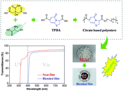 Graphical abstract: Preparation of thermostable and compatible citrate-based polyesters for enhancing the ultraviolet shielding performance of thermoplastic resin