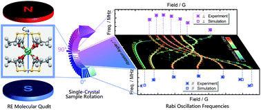 Graphical abstract: Orientation mapping of Rabi frequencies in a rare-earth molecular qudit