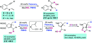 Graphical abstract: Iron-catalyzed hydrogen atom transfer induced cyclization of 1,6-enynes for the synthesis of ketoximes: a combined experimental and computational study