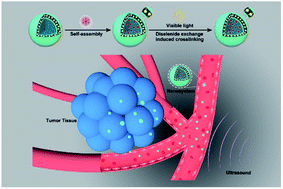 Graphical abstract: A redox-sensitive core-crosslinked nanosystem combined with ultrasound for enhanced deep penetration of nanodiamonds into tumors