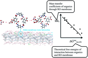 Graphical abstract: The role of interaction between low molecular weight neutral organic compounds and a polyamide RO membrane in the rejection mechanism