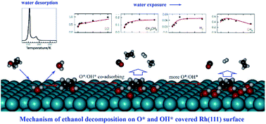 Graphical abstract: Dependence on co-adsorbed water in the reforming reaction of ethanol on a Rh(111) surface