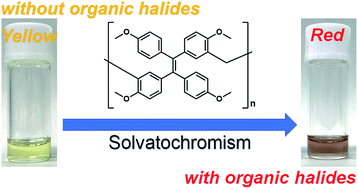 Graphical abstract: Halogen-sensitive solvatochromism based on a phenolic polymer of tetraphenylethene