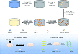 Graphical abstract: The preparation of a difunctional porous β-tricalcium phosphate scaffold with excellent compressive strength and antibacterial properties