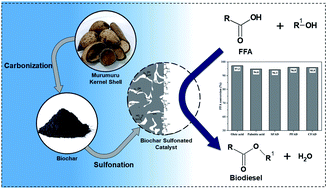 Graphical abstract: Preparation of sulfonated carbon-based catalysts from murumuru kernel shell and their performance in the esterification reaction