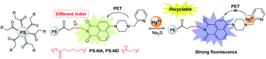 Graphical abstract: Synthesis, structure–fluorescence relationships and density functional theory studies of novel naphthalimide–piperazine–pyridine-based polystyrene sensors for Hg(ii) detection