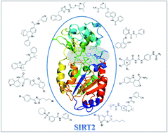 Graphical abstract: Recent advances in the development of histone deacylase SIRT2 inhibitors