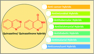 Graphical abstract: Recent advances in the pharmacological diversification of quinazoline/quinazolinone hybrids