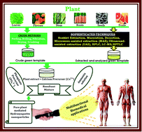 Graphical abstract: A plant-mediated synthesis of nanostructured hydroxyapatite for biomedical applications: a review