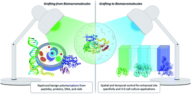 Graphical abstract: Enlightening advances in polymer bioconjugate chemistry: light-based techniques for grafting to and from biomacromolecules