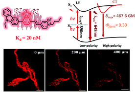 Graphical abstract: Polarity-active NIR probes with strong two-photon absorption and ultrahigh binding affinity of insulin amyloid fibrils