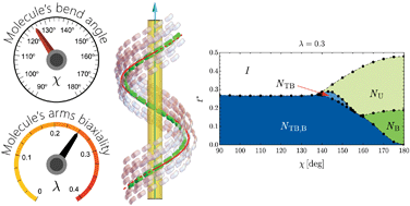 Graphical abstract: Role of molecular bend angle and biaxiality in the stabilization of the twist-bend nematic phase