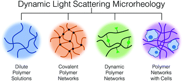Graphical abstract: Dynamic light scattering microrheology for soft and living materials