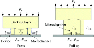 Graphical abstract: Adhesion performance study of a novel microstructured stamp for micro-transfer printing