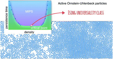 Graphical abstract: Universality class of the motility-induced critical point in large scale off-lattice simulations of active particles