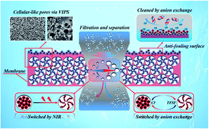 Graphical abstract: Vapor induced phase separation towards anion-/near-infrared-responsive pore channels for switchable anti-fouling membranes
