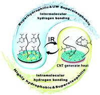 Graphical abstract: Photothermally induced in situ double emulsion separation by a carbon nanotube/poly(N-isopropylacrylamide) modified membrane with superwetting properties