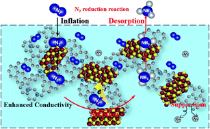 Graphical abstract: Enhanced electrocatalytic nitrogen reduction activity by incorporation of a carbon layer on SnS microflowers