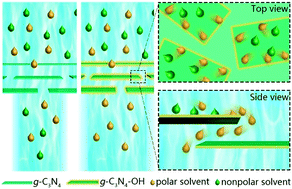 Graphical abstract: Manipulating the cross-layer channels in g-C3N4 nanosheet membranes for enhanced molecular transport