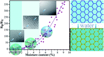 Graphical abstract: Conductivity controllable rubber films: response to humidity based on a bio-based continuous segregated cell network