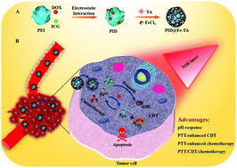 Graphical abstract: A metal–phenolic network-based multifunctional nanocomposite with pH-responsive ROS generation and drug release for synergistic chemodynamic/photothermal/chemo-therapy