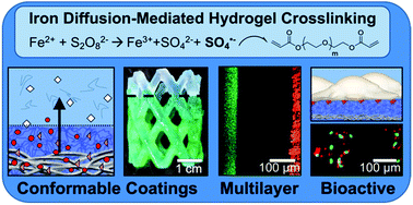 Graphical abstract: Bioactive hydrogel coatings of complex substrates using diffusion-mediated redox initiation