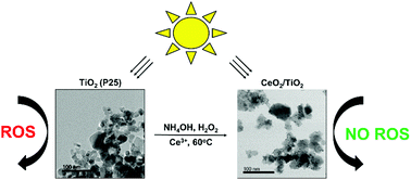 Graphical abstract: Development of CeO2 nanodot encrusted TiO2 nanoparticles with reduced photocatalytic activity and increased biocompatibility towards a human keratinocyte cell line