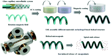 Graphical abstract: Multi-functionalized micro-helical capsule robots with superior loading and releasing capabilities