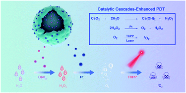 Graphical abstract: A versatile nanoplatform based on multivariate porphyrinic metal–organic frameworks for catalytic cascade-enhanced photodynamic therapy