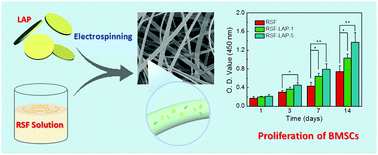 Graphical abstract: Silk-based hybrid microfibrous mats as guided bone regeneration membranes