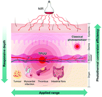 Graphical abstract: A versatile and low-toxicity material for photothermal therapy in deeper tissues