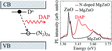 Graphical abstract: Chemical structure and optical signatures of nitrogen acceptors in MgZnO