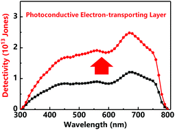 Graphical abstract: Photo-switchable electron-transporting layers for self-driven perovskite photodetectors towards high detectivity