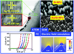 Graphical abstract: Cold cathode electron emission with ultralow turn-on fields from Au-nanoparticle-decorated self-organized Si nanofacets