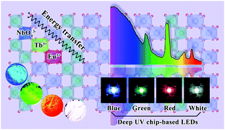 Graphical abstract: Full color-emitting (Y,Tb,Eu)NbO4 nanophosphors: calcination-assisted hydrothermal synthesis, energy interaction, and application in deep UV chip-based WLEDs