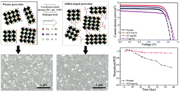 Graphical abstract: Crystallization control and multisite passivation of perovskites with amino acid to boost the efficiency and stability of perovskite solar cells