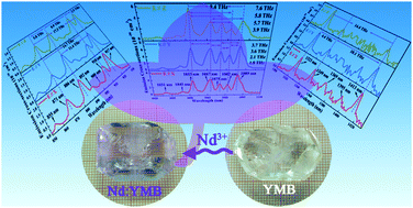 Graphical abstract: The YMgB5O10 crystal preparation and attractive multi-wavelength emission characteristics of doping Nd3+ ions