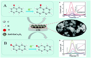 Graphical abstract: Controllable generation of ZnO/ZnCo2O4 arising from bimetal–organic frameworks for electrochemical detection of naphthol isomers