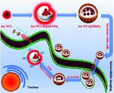 Graphical abstract: Near infrared imaging of intracellular GSH by AuNCs@MnO2 core–shell nanoparticles based on the absorption competition mechanism