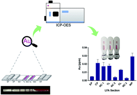 Graphical abstract: Inductively coupled plasma optical emission spectroscopy as a tool for evaluating lateral flow assays