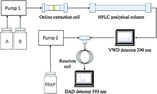 Graphical abstract: Analysis of antioxidants in Chrysanthemum indici flos by online gradient extraction and HPLC-FRAP
